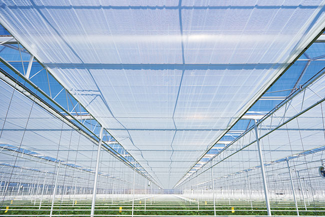 Thermal & Energy Screens